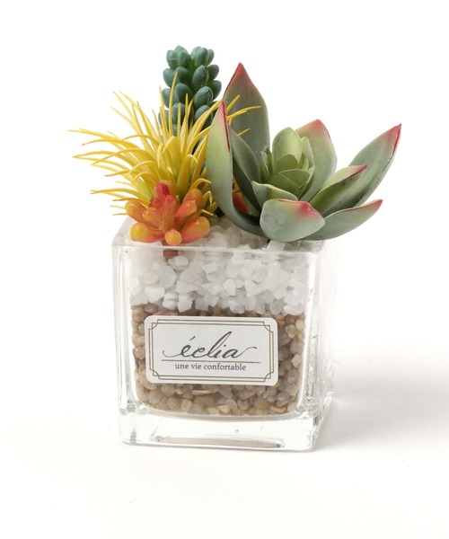 LEPSIM(レプシィム)の「フェイクグリーン(カラー多肉植物)(インテリア雑貨・レディース・グリーン系その他3/グリーン系その他2/グリーン系その他・ONE SIZE)」の2枚目の写真