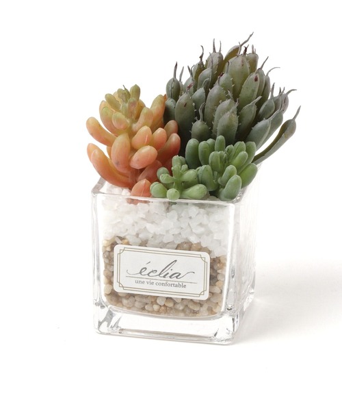 LEPSIM(レプシィム)の「フェイクグリーン(カラー多肉植物)(インテリア雑貨・レディース・グリーン系その他3/グリーン系その他2/グリーン系その他・ONE SIZE)」の3枚目の写真