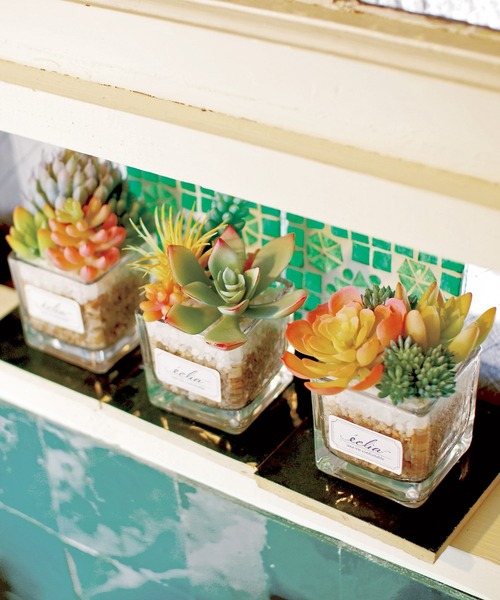 LEPSIM(レプシィム)の「フェイクグリーン(カラー多肉植物)(インテリア雑貨・レディース・グリーン系その他3/グリーン系その他2/グリーン系その他・ONE SIZE)」の4枚目の写真