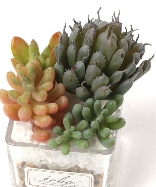 LEPSIM(レプシィム)の「フェイクグリーン(カラー多肉植物)(インテリア雑貨・レディース・グリーン系その他3/グリーン系その他2/グリーン系その他・ONE SIZE)」の9枚目の写真