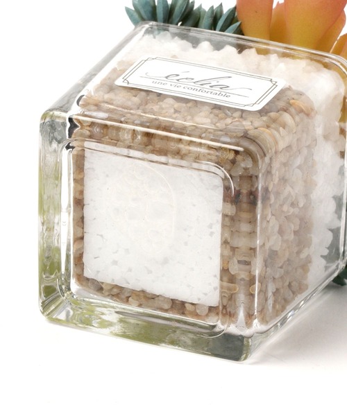 LEPSIM(レプシィム)の「フェイクグリーン(カラー多肉植物)(インテリア雑貨・レディース・グリーン系その他3/グリーン系その他2/グリーン系その他・ONE SIZE)」の10枚目の写真