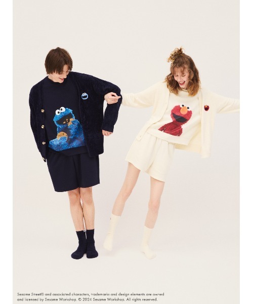 SNIDEL HOME(スナイデルホーム)の「【SESAME STREET】バンスクリップ(バレッタ/ヘアクリップ・レディース・C/E・FREE)」の16枚目の写真
