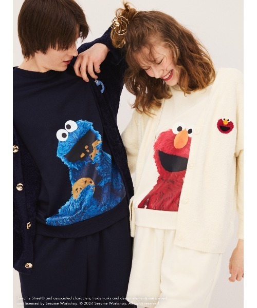 SNIDEL HOME(スナイデルホーム)の「【SESAME STREET】バンスクリップ(バレッタ/ヘアクリップ・レディース・C/E・FREE)」の17枚目の写真