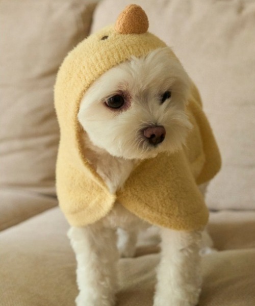 gelato pique（ジェラートピケ）の「【CAT&DOG】ひよこケープ（ペット