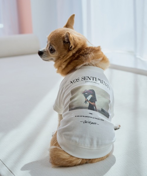 ROPE' PICNIC(ロペピクニック)の「【DOG】RENUフォト&ロゴTシャツ/リンクコーデ(ペットウェア・レディース・ホワイト/ホワイト系その他2・S/M/L/D)」の1枚目の写真