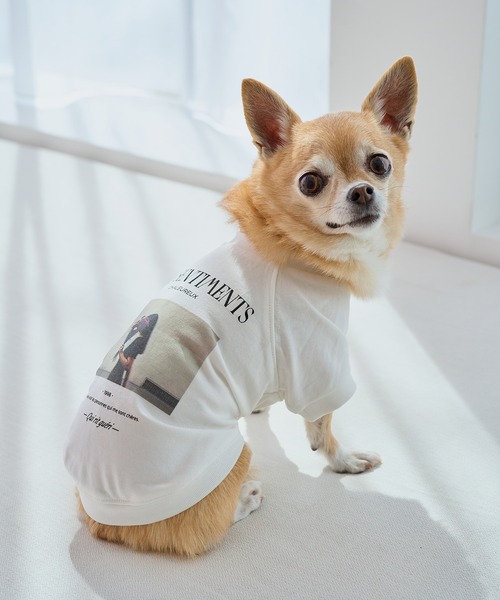 ROPE' PICNIC(ロペピクニック)の「【DOG】RENUフォト&ロゴTシャツ/リンクコーデ(ペットウェア・レディース・ホワイト/ホワイト系その他2・S/M/L/D)」の11枚目の写真