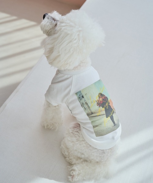 ROPE' PICNIC(ロペピクニック)の「【DOG】RENUフォト&ロゴTシャツ/リンクコーデ(ペットウェア・レディース・ホワイト/ホワイト系その他2・S/M/L/D)」の10枚目の写真