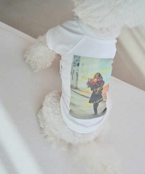 ROPE' PICNIC(ロペピクニック)の「【DOG】RENUフォト&ロゴTシャツ/リンクコーデ(ペットウェア・レディース・ホワイト/ホワイト系その他2・S/M/L/D)」の9枚目の写真