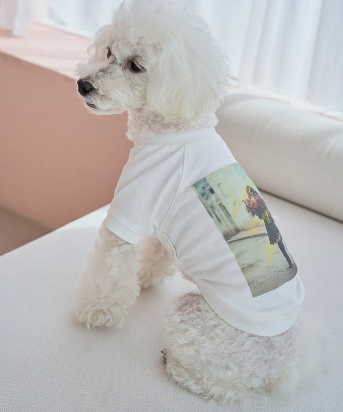 ROPE' PICNIC(ロペピクニック)の「【DOG】RENUフォト&ロゴTシャツ/リンクコーデ(ペットウェア・レディース・ホワイト/ホワイト系その他2・S/M/L/D)」の8枚目の写真