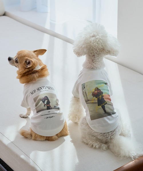 セール】【DOG】RENUフォト&ロゴTシャツ/リンクコーデ（ペットウェア