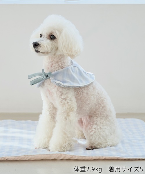 ROPE' PICNIC(ロペピクニック)の「【DOG】RENUフォト&ロゴTシャツ/リンクコーデ(ペットウェア・レディース・ホワイト/ホワイト系その他2・S/M/L/D)」の14枚目の写真