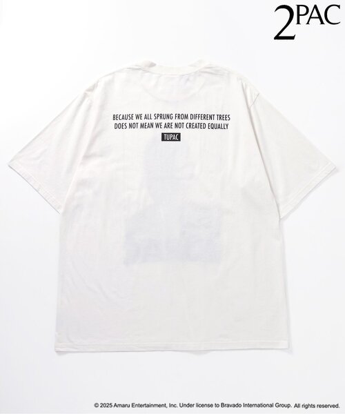 BREEZE（ブリーズ）の「【リンク】アーティストTシャツ（大人）（Tシャツ/カットソー・キッズ・オフホワイト/チャコール・LARGE/MEDIUM）」の12枚目の写真