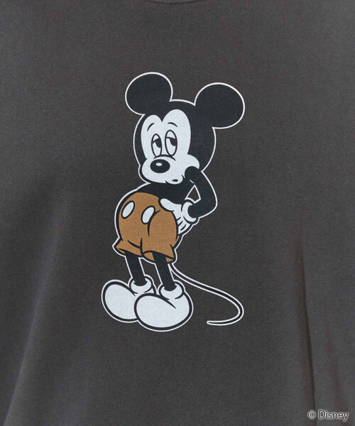 FRAMe WORK / ダメージ加工ミッキースウェット / SIZE:FREE FREAK'S