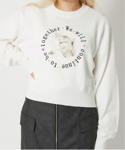 GORGE(ゴージ)の「《ネコプリント×ドライタッチ》レディース ニットプルオーバー 長袖 セーター 春秋冬(ニット/セーター・レディース・ネイビー/ブラウン/アイボリー・F)」の5枚目の写真