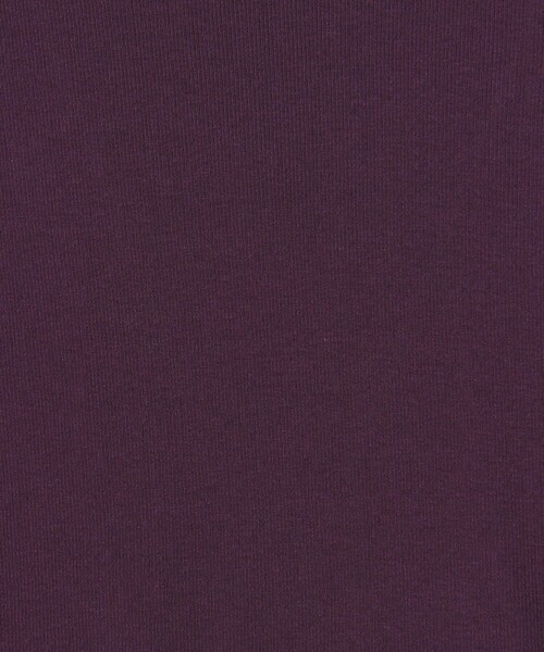 Steven Alan（スティーブンアラン）の「＜Steven Alan＞コットン シルク リブ クルーネック カットソー（Tシャツ/カットソー・レディース・パープル/ネイビー/ベージュ/オフホワイト・FREE）」の13枚目の写真