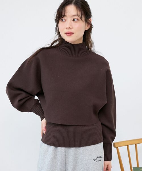 le.coeur blanc（ルクールブラン）の「《手洗い可能》3WAYハイネックレイヤードニット（ニット/セーター・レディース・レッド/ダークブラウン/グレイッシュベージュ/グレー・38）」の17枚目の写真