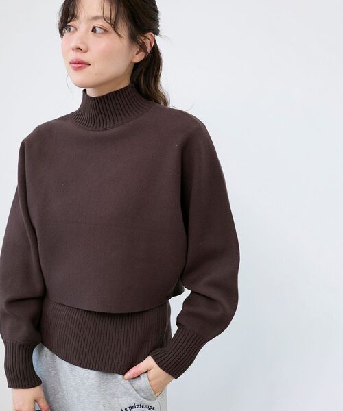 le.coeur blanc（ルクールブラン）の「《手洗い可能》3WAYハイネックレイヤードニット（ニット/セーター・レディース・レッド/ダークブラウン/グレイッシュベージュ/グレー・38）」の18枚目の写真