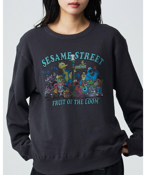 FRUIT OF THE LOOM(フルーツオブザルーム)の「【FRUIT OF THE LOOM/フルーツ オブ ザ ルーム】【コラボ】SESAMISTREET×FTL ロングスリーブ甘編み裏毛(Tシャツ/カットソー・レディース・アイボリー/ブルー/グレー/ブラック・フリー)」の2枚目の写真