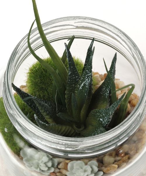 LEPSIM(レプシィム)の「フェイク多肉グリーンL 188667(インテリア雑貨・レディース・その他2/その他3/その他1・ONE SIZE)」の5枚目の写真