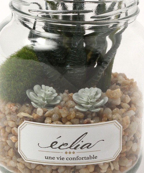 LEPSIM(レプシィム)の「フェイク多肉グリーンL 188667(インテリア雑貨・レディース・その他2/その他3/その他1・ONE SIZE)」の6枚目の写真