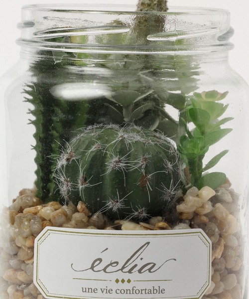 LEPSIM(レプシィム)の「フェイク多肉グリーンL 188667(インテリア雑貨・レディース・その他2/その他3/その他1・ONE SIZE)」の8枚目の写真