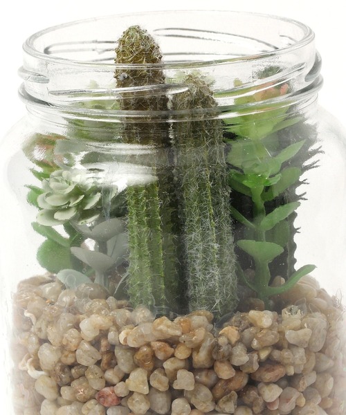 LEPSIM(レプシィム)の「フェイク多肉グリーンL 188667(インテリア雑貨・レディース・その他2/その他3/その他1・ONE SIZE)」の9枚目の写真