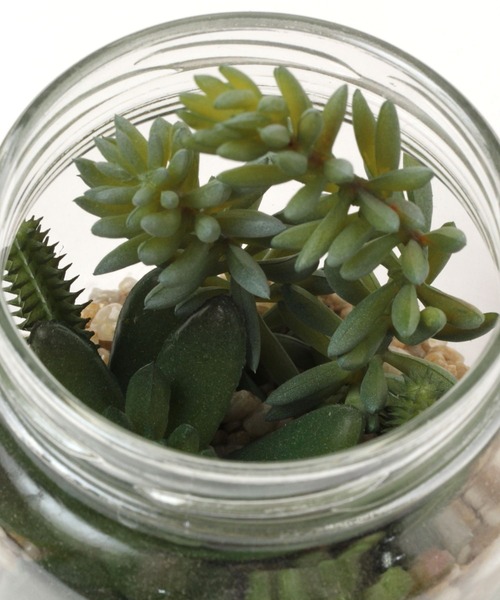 LEPSIM(レプシィム)の「フェイク多肉グリーンL 188667(インテリア雑貨・レディース・その他2/その他3/その他1・ONE SIZE)」の10枚目の写真