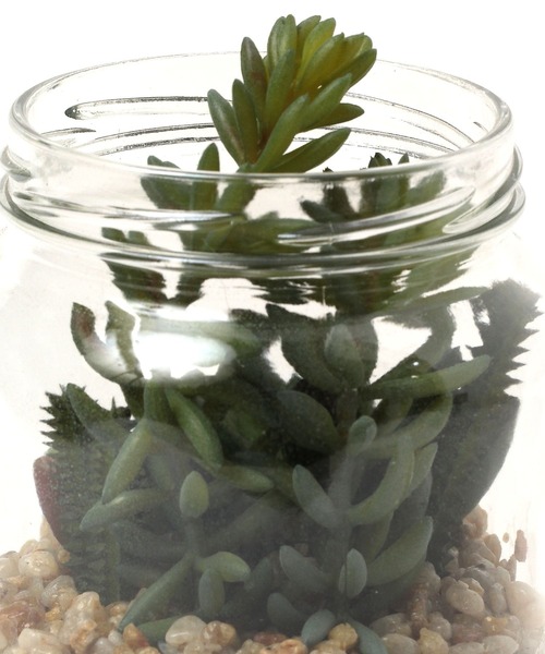 LEPSIM(レプシィム)の「フェイク多肉グリーンL 188667(インテリア雑貨・レディース・その他2/その他3/その他1・ONE SIZE)」の12枚目の写真