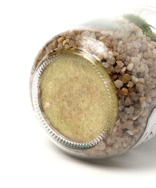 LEPSIM(レプシィム)の「フェイク多肉グリーンL 188667(インテリア雑貨・レディース・その他2/その他3/その他1・ONE SIZE)」の13枚目の写真