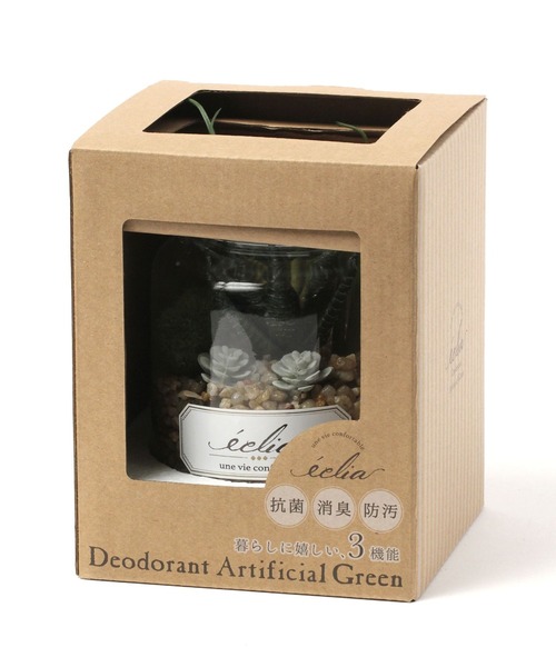 LEPSIM(レプシィム)の「フェイク多肉グリーンL 188667(インテリア雑貨・レディース・その他2/その他3/その他1・ONE SIZE)」の14枚目の写真