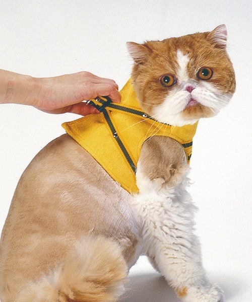 猫の暮らし(ネコノクラシ)の「猫の暮らし/ハンドルベスト ストロベリー(ペットウェア・メンズ・ブルー/ピンク・S/M/XS/L)」の6枚目の写真