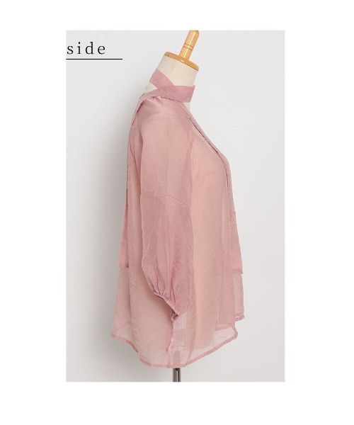 Sawa a la mode(サワアラモード)の「シアーシャツブラウス(シャツ/ブラウス・レディース・ピンク・FREE)」の8枚目の写真