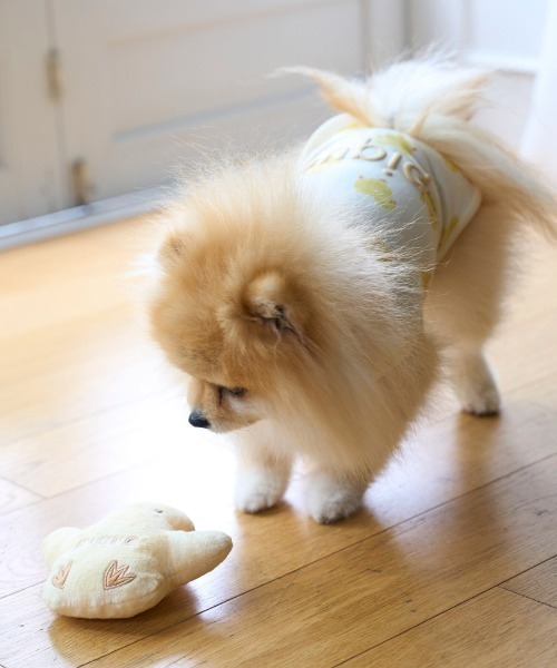 ✨gelato pique ジェラートピケラスト一点！CAT&DOG柄3点セット gelato pique（ジェラートピケ）【CAT&DOG】【販路限定商品