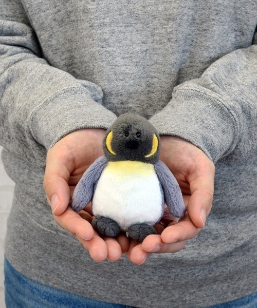 NICI 【ペンギンノーシー】オスワリ40cmぬいぐるみ nici（ニキ）の「NICI/ぬいぐるみ Winter22 ペンギン ノーシー