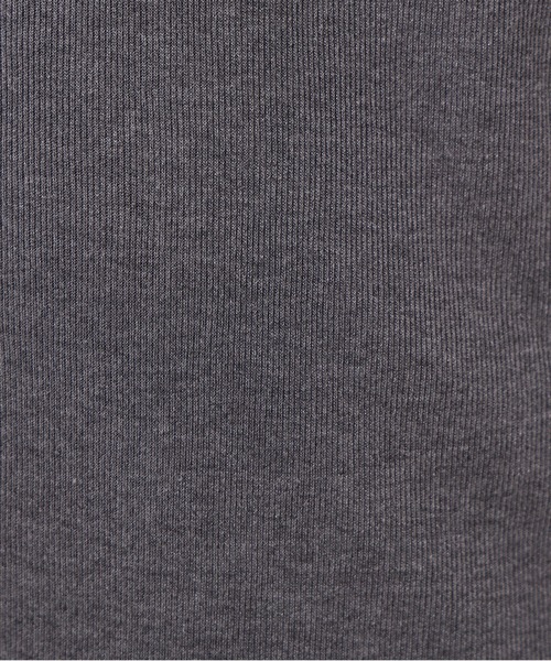 N.（N. Natural Beauty Basic）（エヌエヌナチュラルビューティーベーシック）の「ヘンリーネックシアーカットソー（Tシャツ/カットソー・レディース・ブラウン/イエロー/オフホワイト/グレー・MEDIUM）」の10枚目の写真