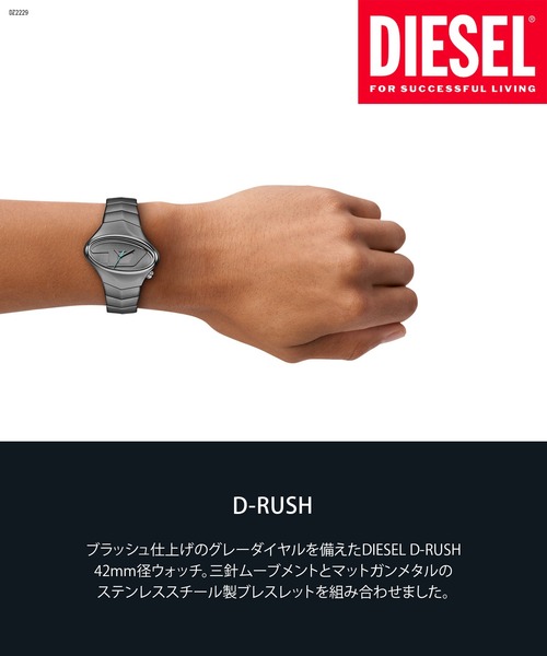 ディーゼル 腕時計 メンズ アナログ ステンレス DZ2229（アナログ