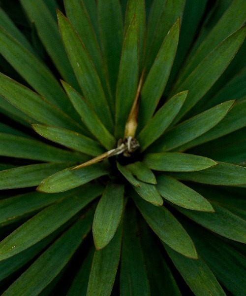 アクセサリー Llife 14KGP ANNEAUX BRACELET Llife 14KGP ANNEAUX BRACELET（ブレスレット）｜LIDNM（リドム）の