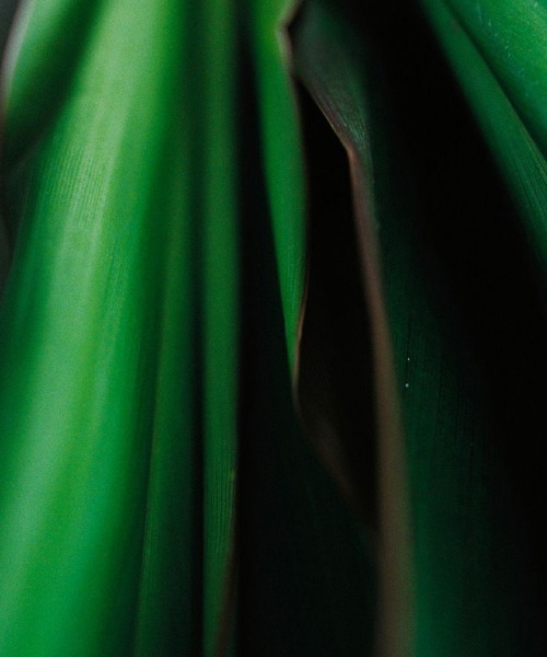 アクセサリー Llife 14KGP ANNEAUX BRACELET Llife 14KGP ANNEAUX BRACELET（ブレスレット）｜LIDNM（リドム）の