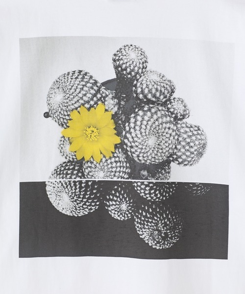 MEN'S BIGI(メンズビギ)の「【THE FASCINATED/ザ ファシネイテッド】コラボ サボテンイエローグラフィックTシャツ(Tシャツ/カットソー・メンズ・ホワイト系その他・03/02)」の3枚目の写真