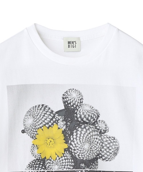 MEN'S BIGI(メンズビギ)の「【THE FASCINATED/ザ ファシネイテッド】コラボ サボテンイエローグラフィックTシャツ(Tシャツ/カットソー・メンズ・ホワイト系その他・03/02)」の2枚目の写真