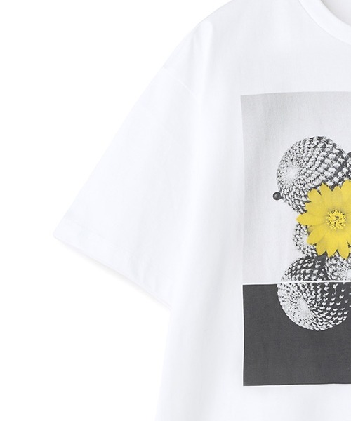 MEN'S BIGI(メンズビギ)の「【THE FASCINATED/ザ ファシネイテッド】コラボ サボテンイエローグラフィックTシャツ(Tシャツ/カットソー・メンズ・ホワイト系その他・03/02)」の4枚目の写真