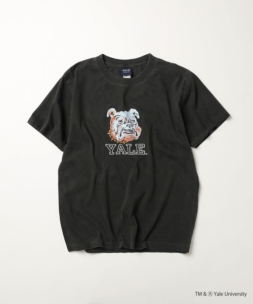 CALIFORNIA HAVE A NICE TIME !（カリフォルニアハブァナイスタイム）の「YALE COLLEGE PIGMENT T-SHIRT 厚手 6.6oz クルーネック ユニセックス コットン100%（Tシャツ/カットソー・メンズ・ブラック・M/L/XL）」の22枚目の写真