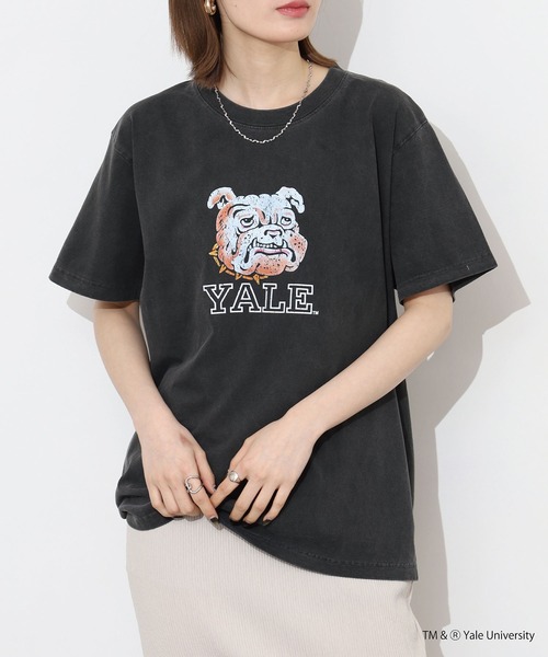 CALIFORNIA HAVE A NICE TIME !（カリフォルニアハブァナイスタイム）の「YALE COLLEGE PIGMENT T-SHIRT 厚手 6.6oz クルーネック ユニセックス コットン100%（Tシャツ/カットソー・メンズ・ブラック・M/L/XL）」の14枚目の写真