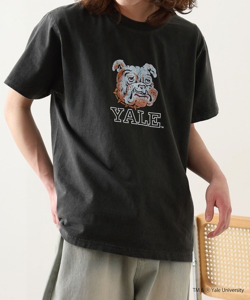 CALIFORNIA HAVE A NICE TIME !（カリフォルニアハブァナイスタイム）の「YALE COLLEGE PIGMENT T-SHIRT 厚手 6.6oz クルーネック ユニセックス コットン100%（Tシャツ/カットソー・メンズ・ブラック・M/L/XL）」の5枚目の写真