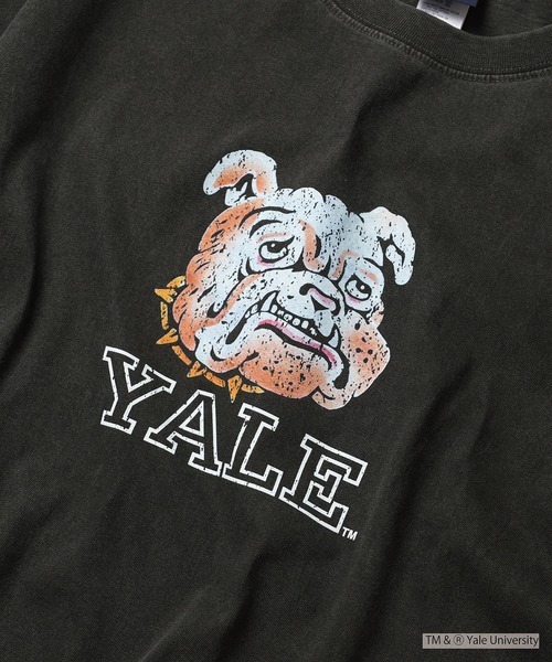 CALIFORNIA HAVE A NICE TIME !（カリフォルニアハブァナイスタイム）の「YALE COLLEGE PIGMENT T-SHIRT 厚手 6.6oz クルーネック ユニセックス コットン100%（Tシャツ/カットソー・メンズ・ブラック・M/L/XL）」の2枚目の写真