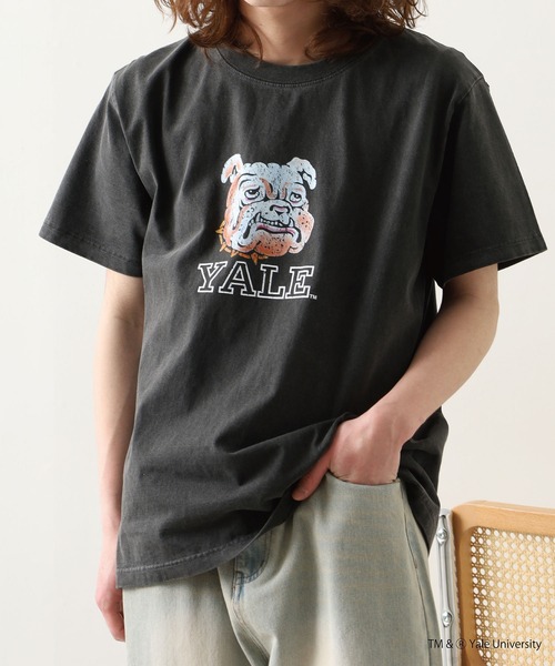 CALIFORNIA HAVE A NICE TIME !（カリフォルニアハブァナイスタイム）の「YALE COLLEGE PIGMENT T-SHIRT 厚手 6.6oz クルーネック ユニセックス コットン100%（Tシャツ/カットソー・メンズ・ブラック・M/L/XL）」の3枚目の写真