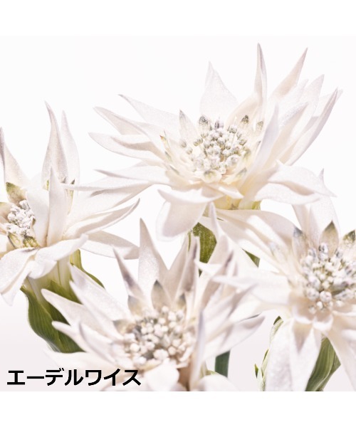 Dior（ディオール）の「ディオール スノー ライト エッセンス ローション[医薬部外品]（化粧水・レディース・ナシ・FREE）」の3枚目の写真