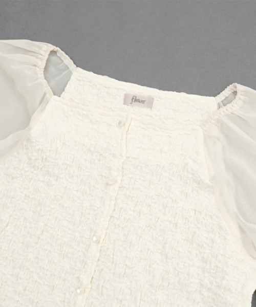 flower（フラワー）の「クリアスリーブトップ2（シャツ/ブラウス・レディース・ブラウン/アイボリー・FREE）」の16枚目の写真
