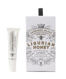 DRESSTERIOR(hXeA)́MAINE BEACH(}Cr[`)LH bvo[ 15mL(ϐ)