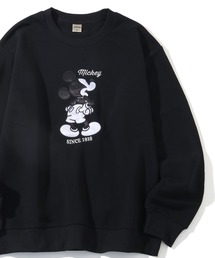 Disney(fBYj[)́yDisney/fBYj[z~bL[}EX A\[g AbvPtbL[UhJ XEFbg g[i[ N(XEFbg)